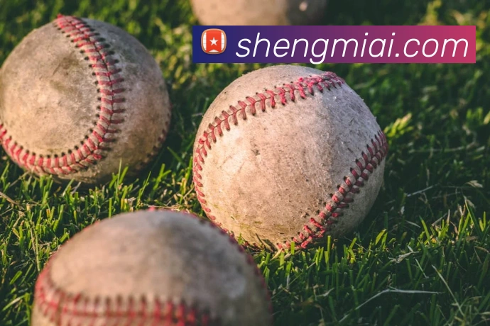 华体会全站App 华体会全站App